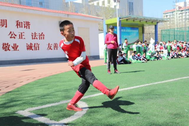 山东泰山今日阵容，加油💪💪💪 ​​​